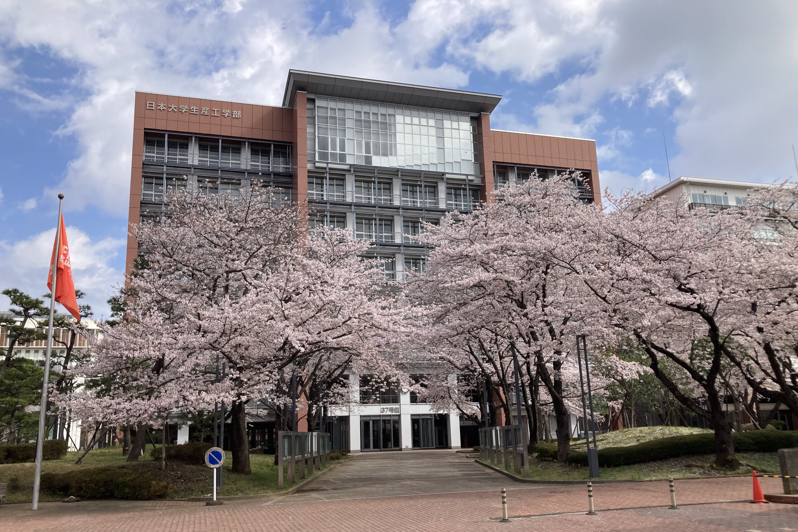 桜舞う津田沼キャンパス正門より